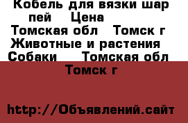 Кобель для вязки шар-пей. › Цена ­ 4 000 - Томская обл., Томск г. Животные и растения » Собаки   . Томская обл.,Томск г.